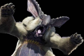 怪物獵人RISE崛起白兔獸圖鑒 白兔獸厲害嗎