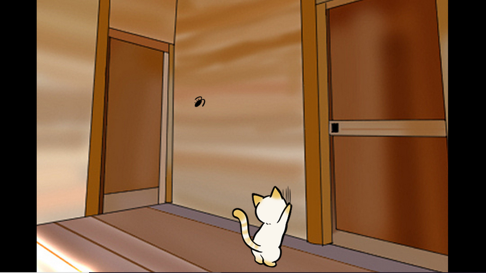猫咪在家图片