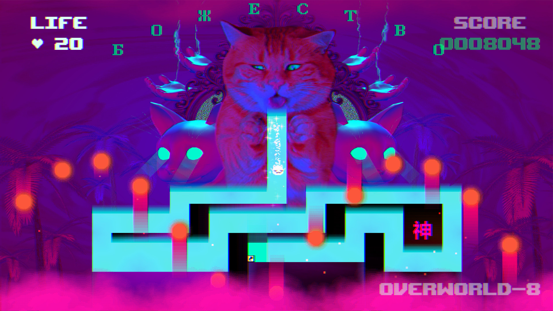 猫咪！图片