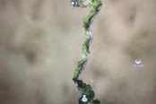 Valheim英靈神殿近距離商人地圖種子分享