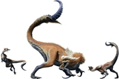 怪物獵人崛起怒后防御補正數(shù)據(jù)匯總