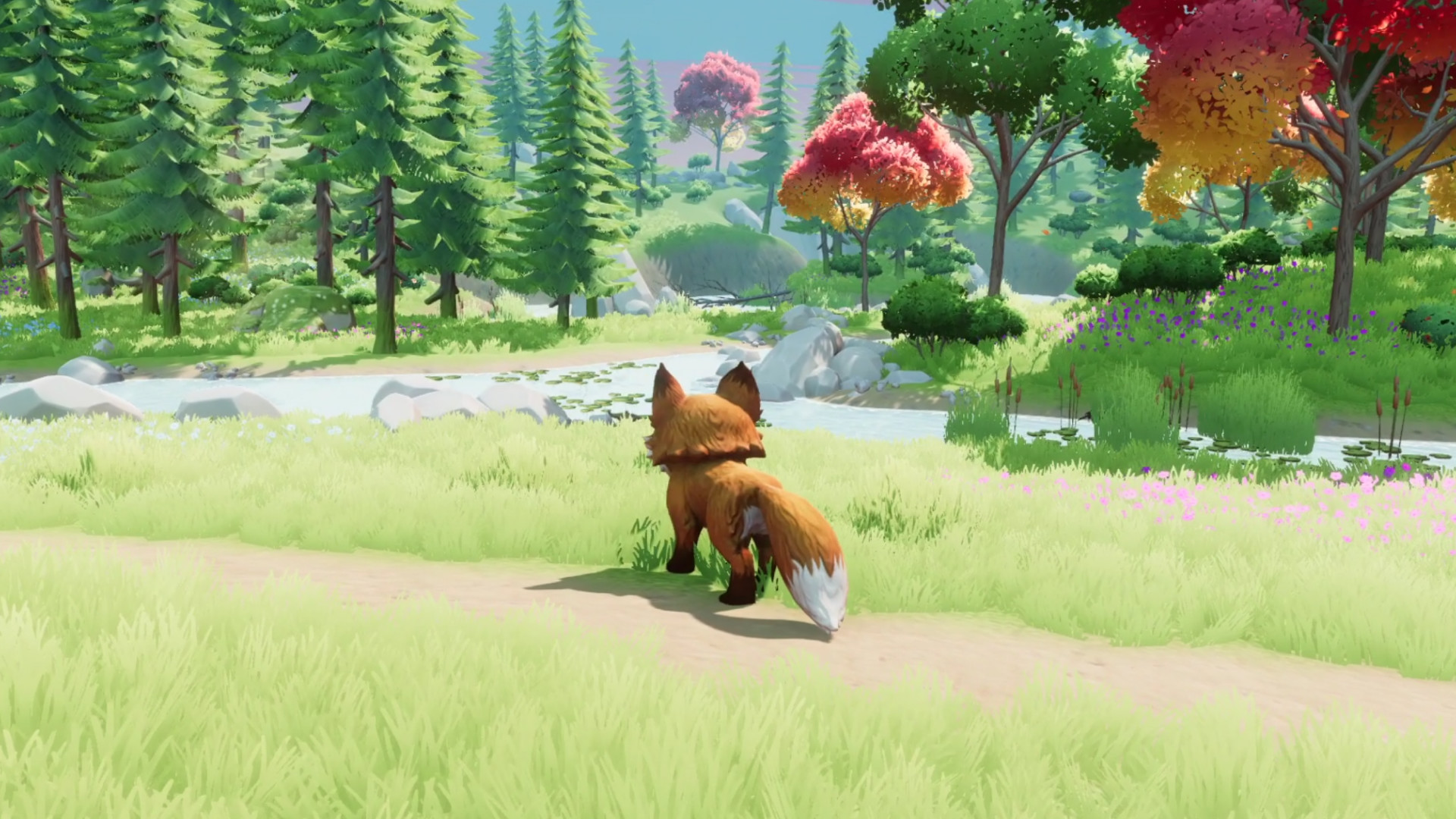 Fox Stories圖片
