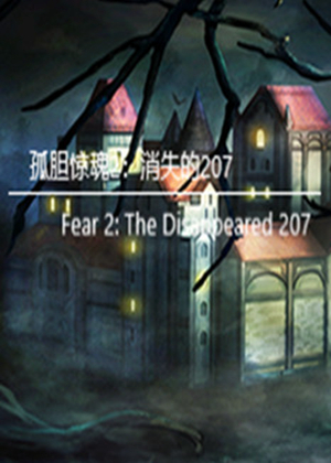 孤胆惊魂2：消失的207