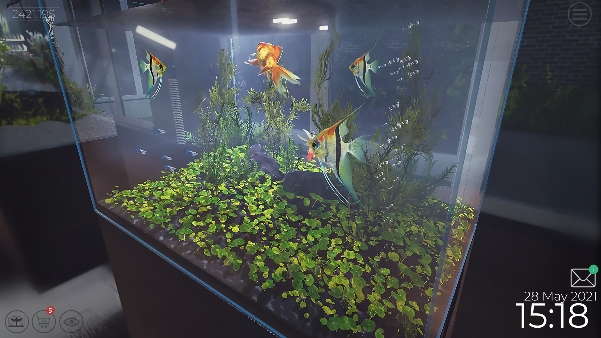 水族馆馆长图片