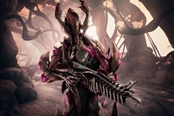 星际战甲Rhino Prime、Nyx Prime组合包一览