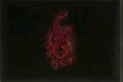 艾爾登法環(huán)火星蝶位置分享 火星蝶怎么得