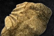 艾爾登法環(huán)主線boss推薦等級一覽 各boss掉落經(jīng)驗值