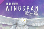 《展翅翱翔》公布新扩展内容欧洲篇预告 第二季度上线