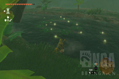 塞爾達(dá)傳說王國之淚海拉魯鱸魚在哪抓 海拉魯鱸魚采集地點