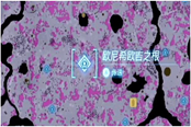 塞爾達(dá)傳說王國之淚瘴氣怎么解除 消除瘴氣方法