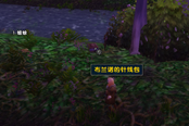 魔兽世界乌龟服布兰诺尔的针线包任务过法详解