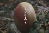 黑神话悟空游戏章节介绍及数量说明