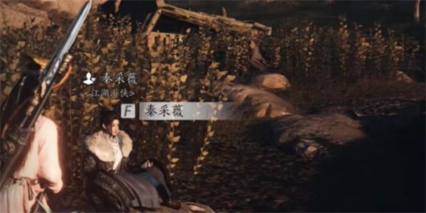 燕云十六声秦采薇聊天对话攻略分享
