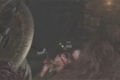 怪物猎人荒野交易毛皮吧任务分享