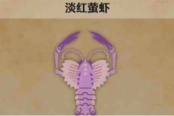 怪物猎人荒野淡红萤虾具体位置分享