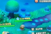 幻想生活i快速刷取板栗方法介紹說明